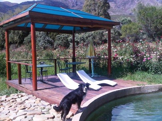 pet friendly self catering western cape