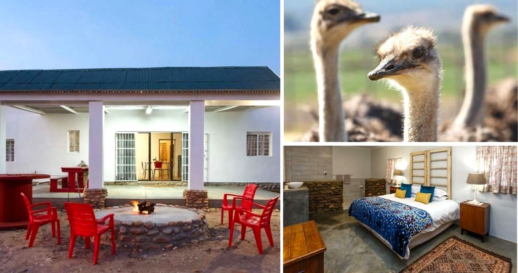 Hazenjacht Karoo Lifestyle - Migeal se Huis