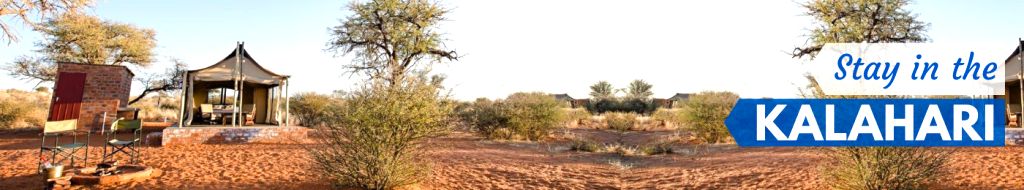 kalahari accommodation