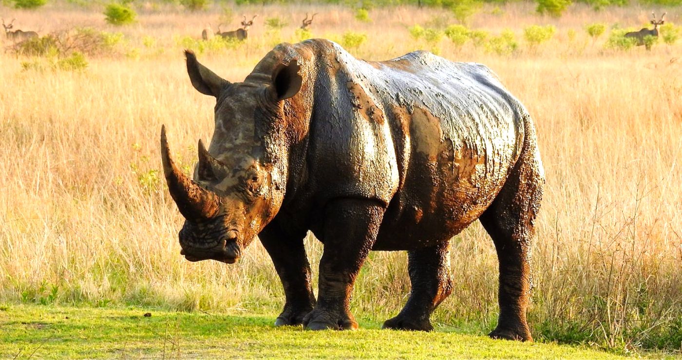 Marulani Bush Lodge | TravelGround