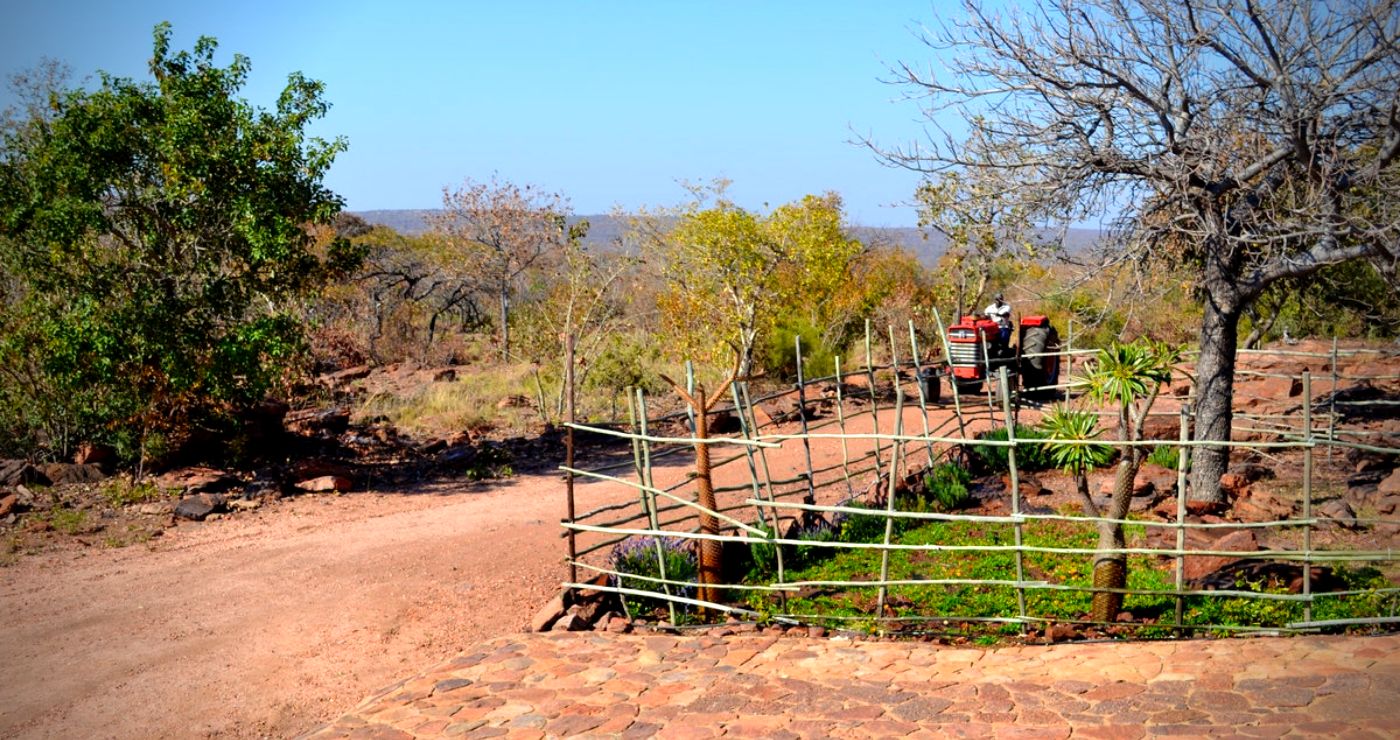 Mountain View Bush Lodge