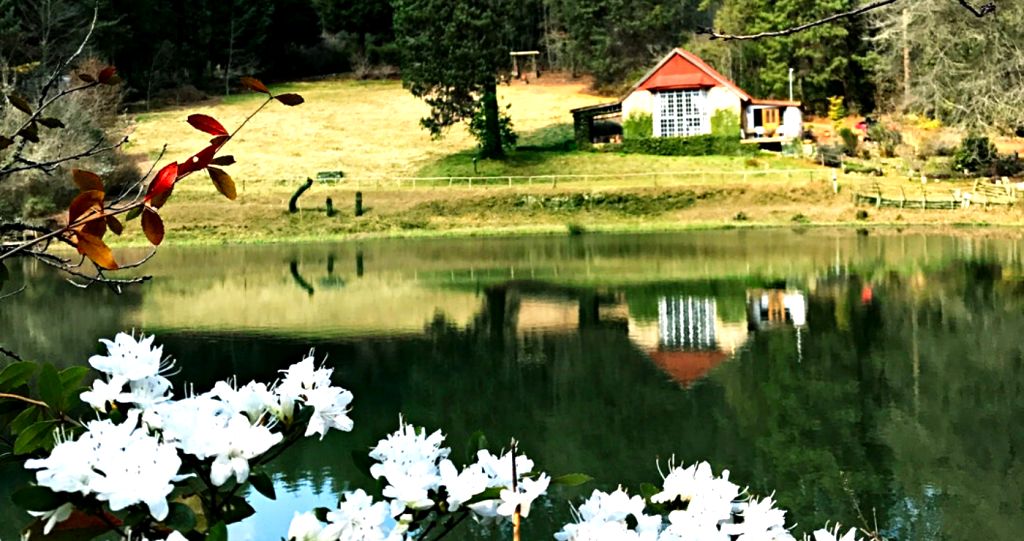 sequioa retreat