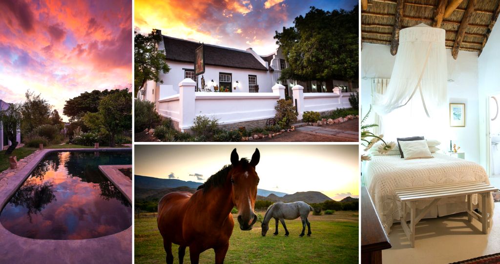 prince albert accommodation