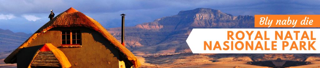 accommodation near royal natal national park