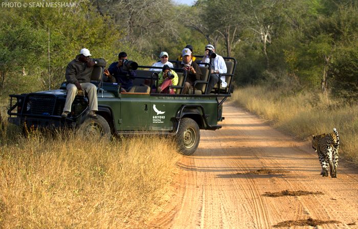 Sabi Sands: An Extraordinary Off-Road Safari - TravelGround Blog